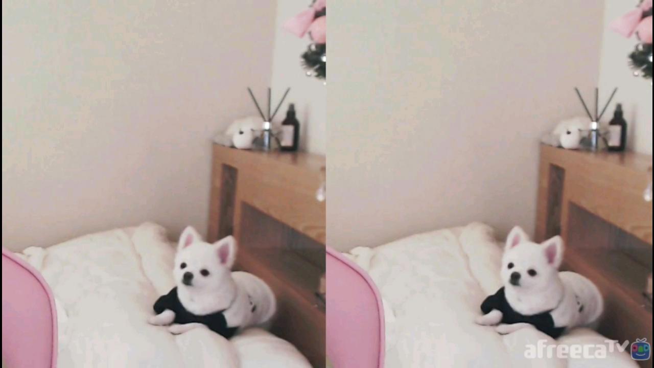해은 :: 간식,간식,간식 3순이리액션