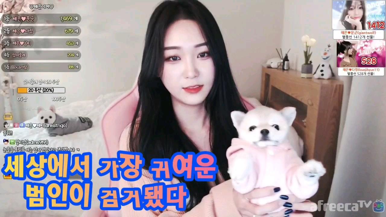 해은::세상에서 가장 귀여운 범인이 검거됐다