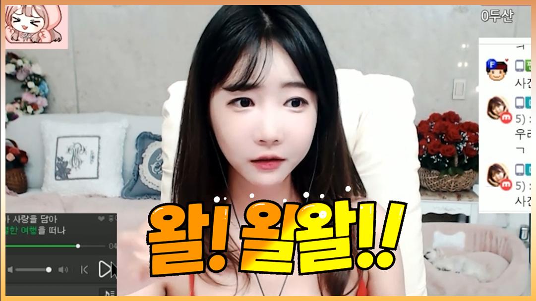 셀리 셀리의 반려동물 이야기! (feat. 풍이&별이)