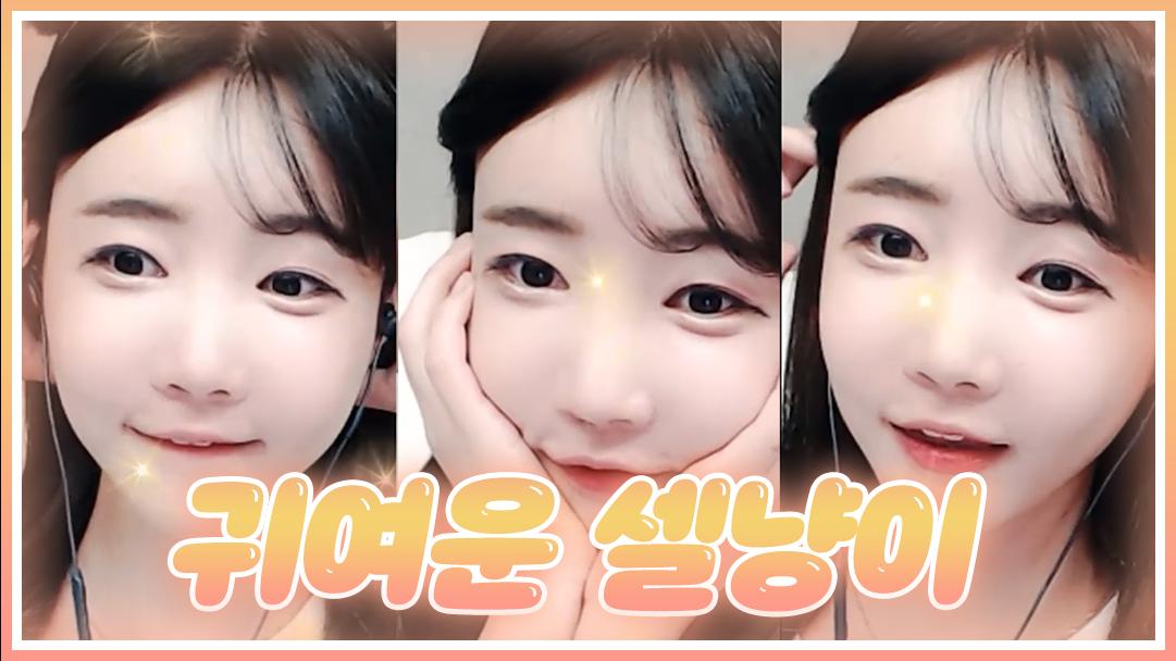 셀리 귀여운 셀냥이에 빠져보실까요?