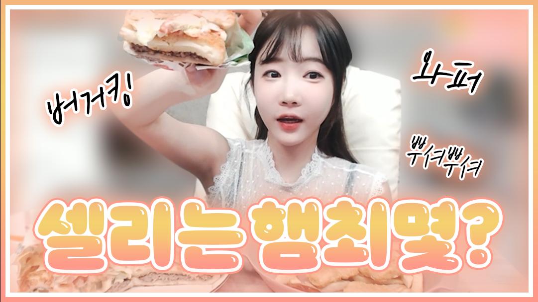 셀리 셀리는 햄최몇일까?