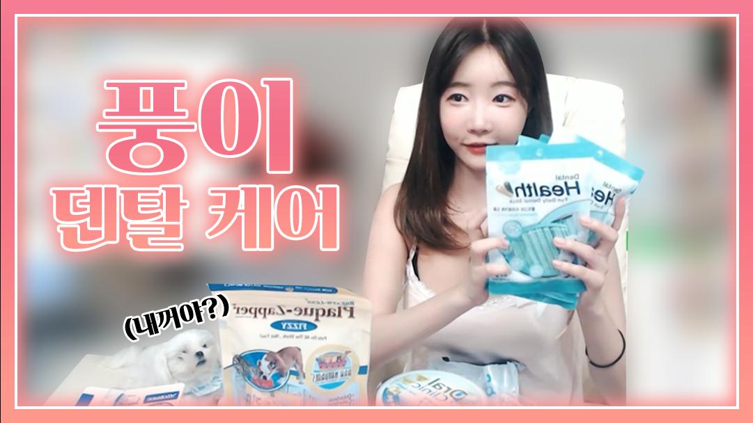 셀리 풍이의 치아를 위한 덴탈 4종 선물!