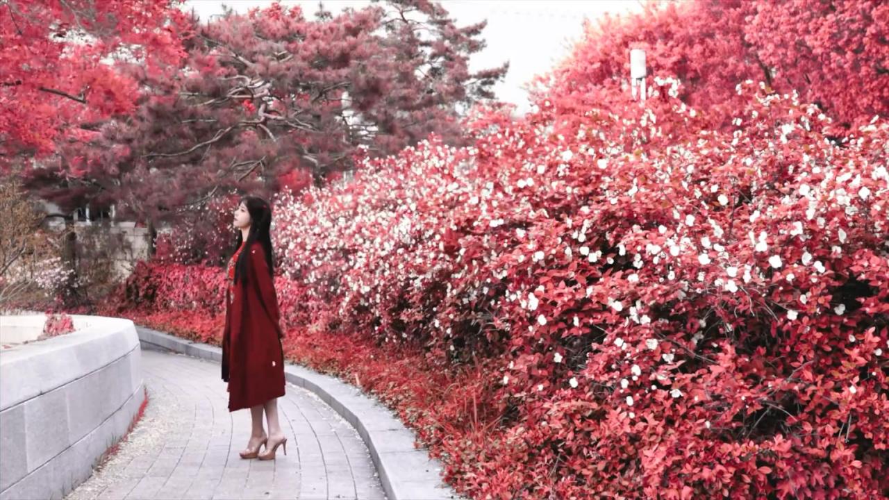 bj한민영
