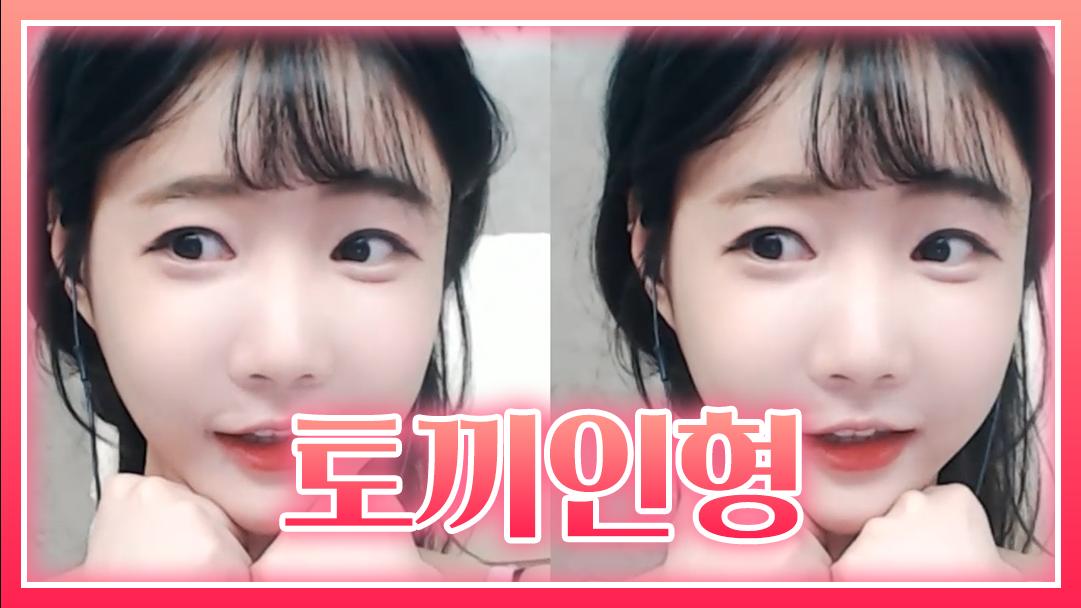 셀리 낯짝이 아니라 토끼인형이라구!!