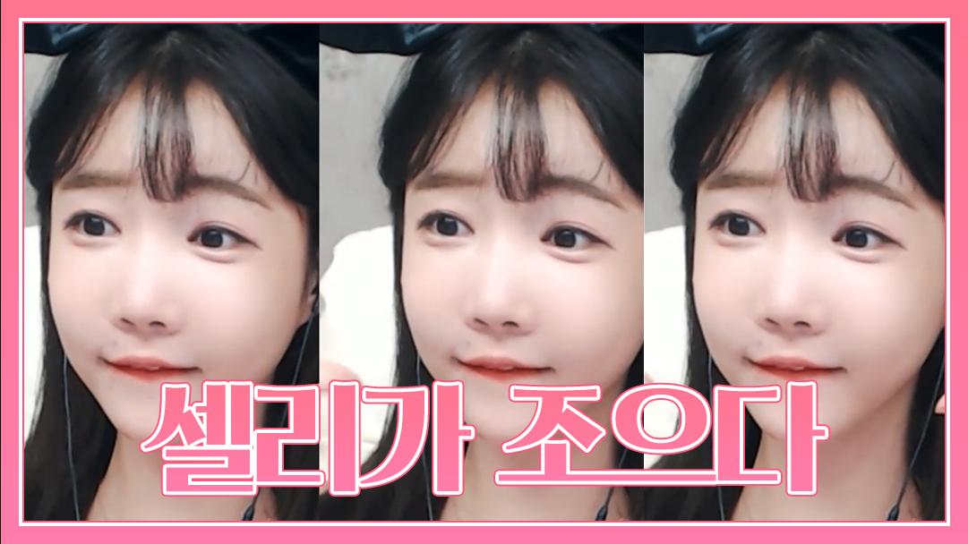 셀리 셀리는 셀럽이 조으다~