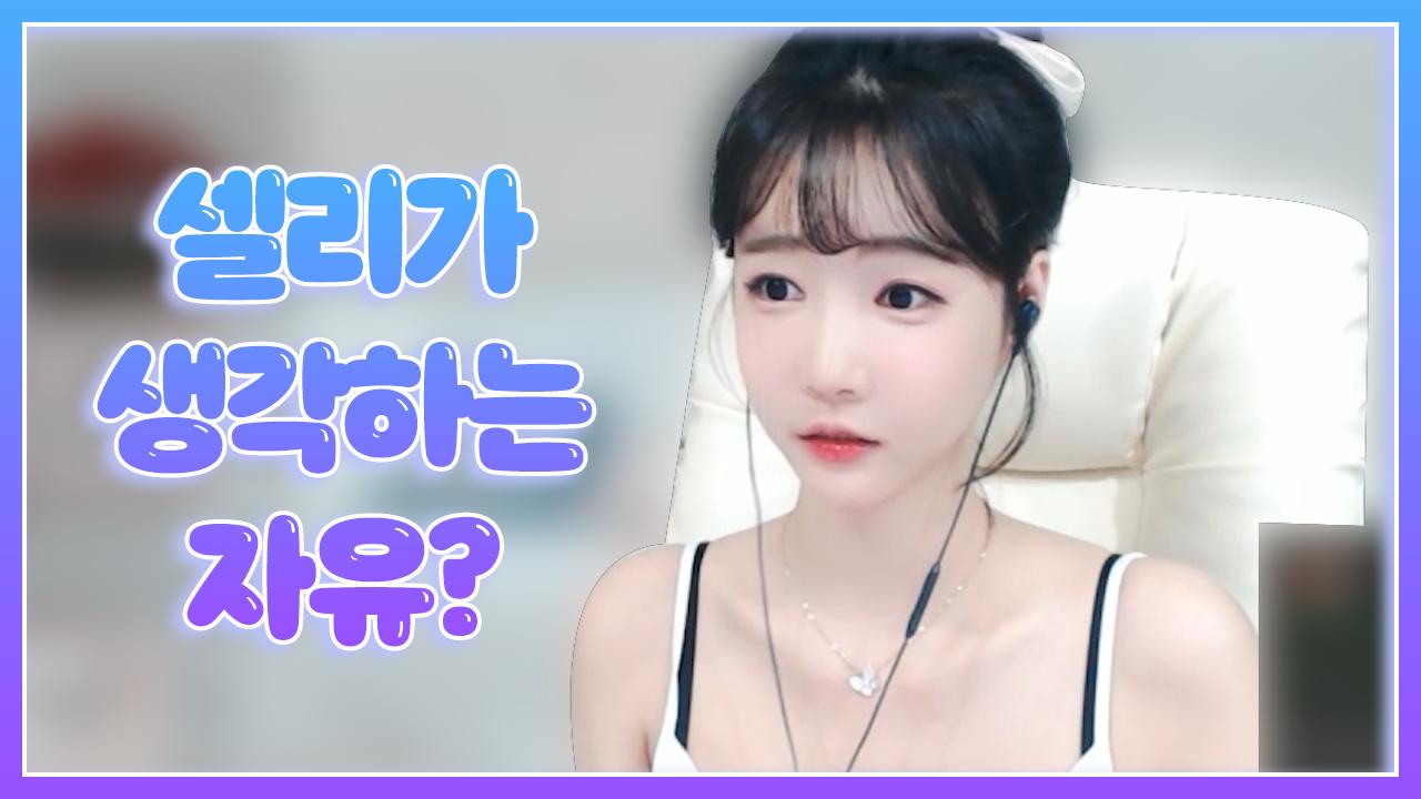 셀리 셀리가 생각하는 자유는?