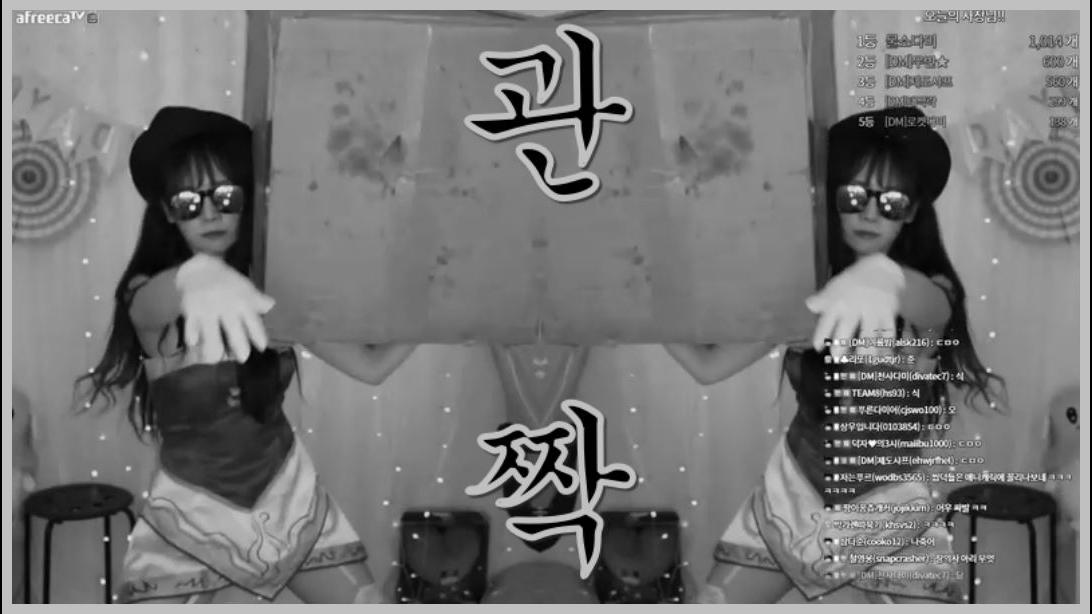 다미관짝 아리코스프레