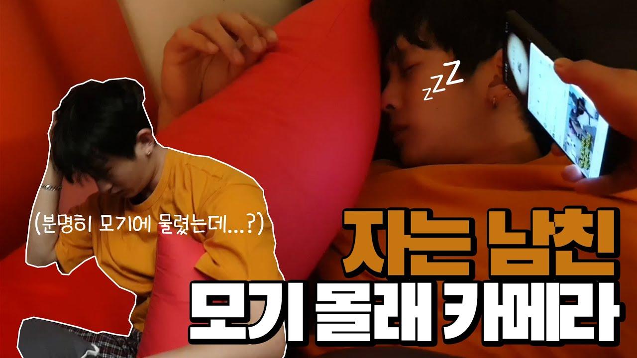 한 번 잠들면 절대 안 일어나는 남친 모기몰카ㅋㅋㅋㅋㅋㅋ 고막주의 모기ASMR
