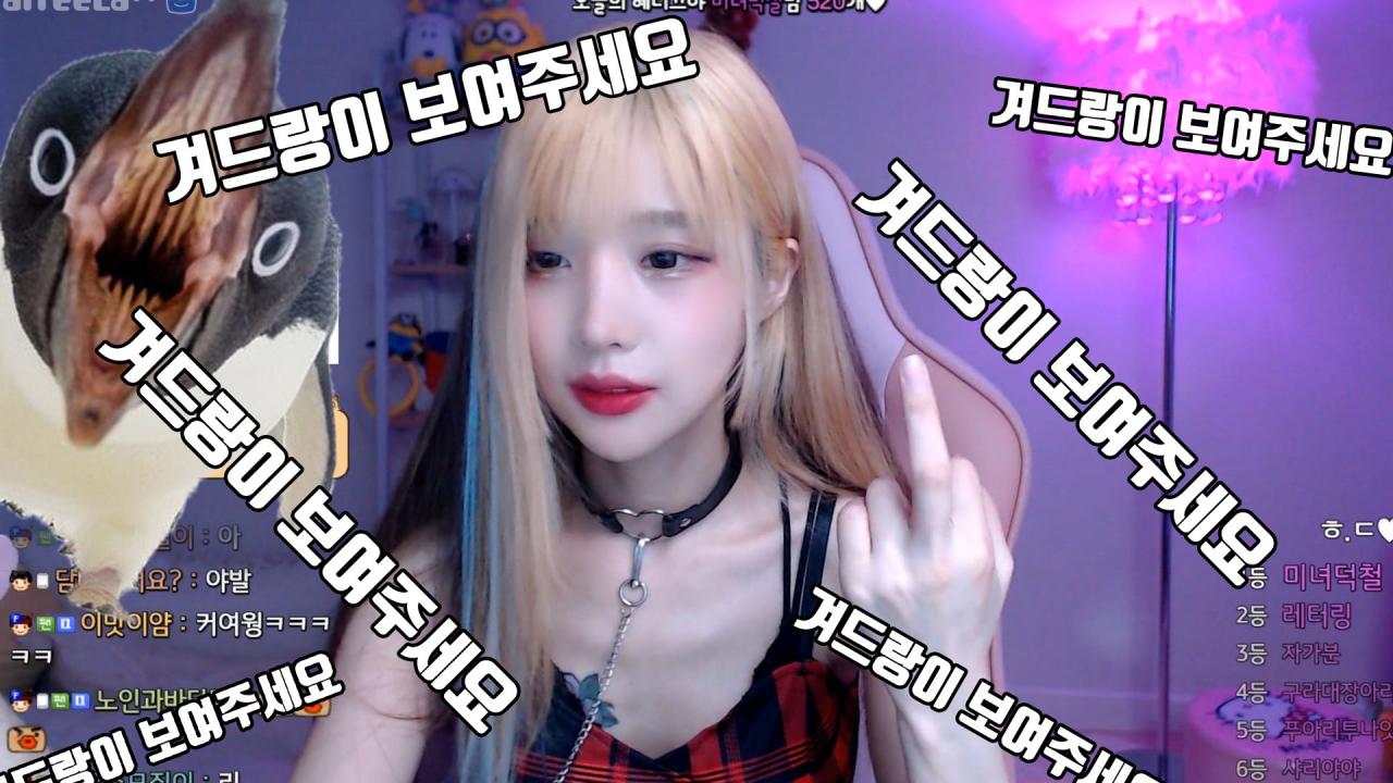 겨충아웃