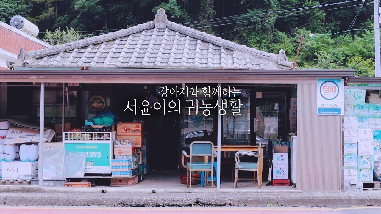 [귀농의 삶] 강아지들도 행복해하는거 같아 기분이 좋아요!