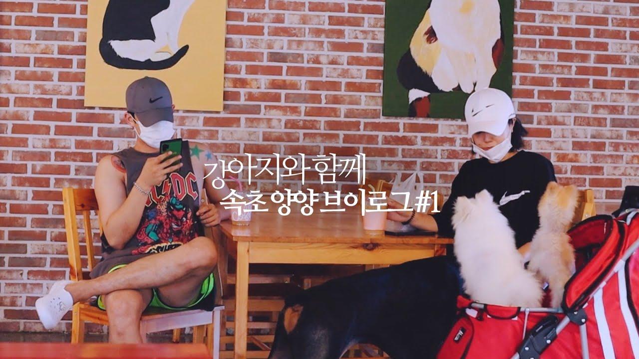 [웃어커플 VLOG] 속초 양양 여행 떠나보실래요 #1