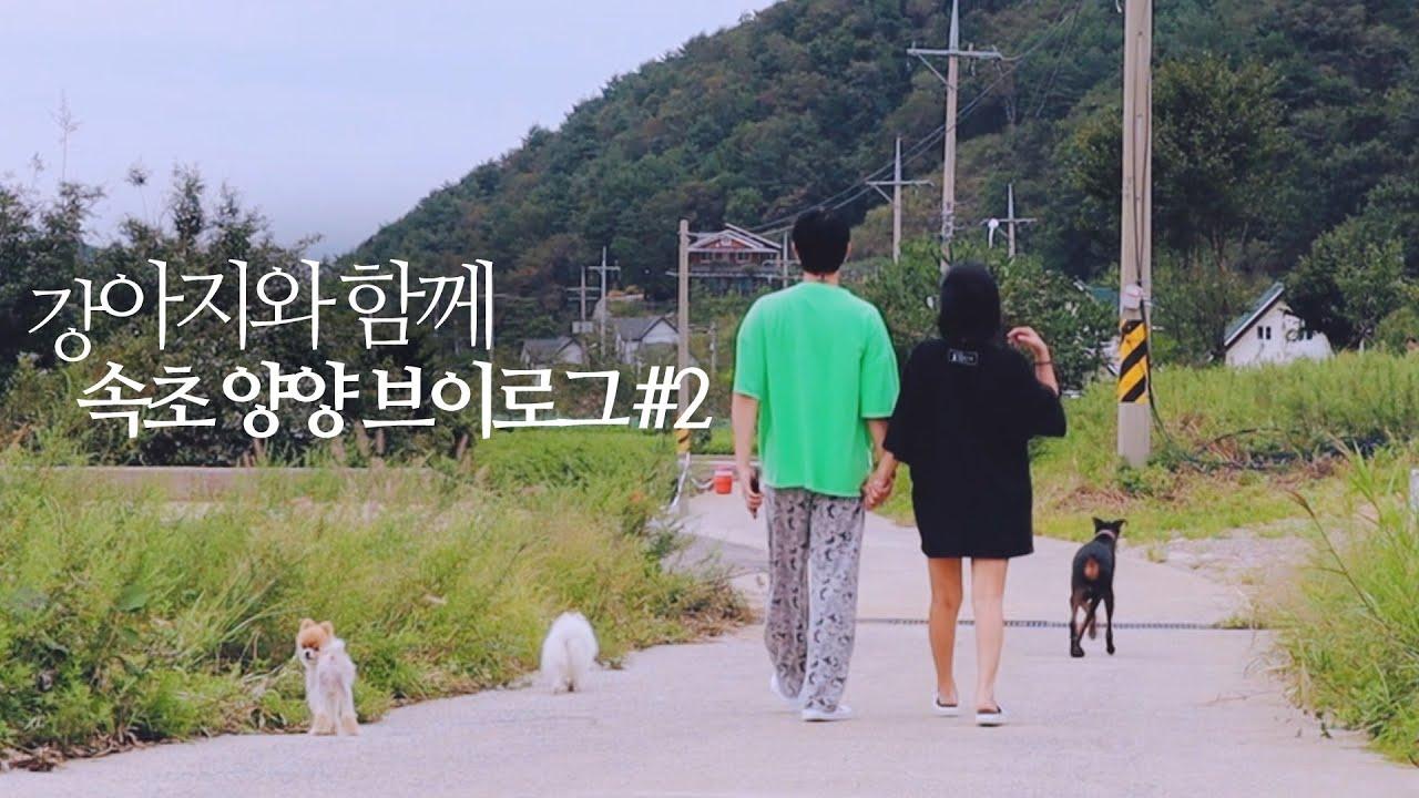 [웃어커플 VLOG] 속초 양양 다섯 가족의 힐링 브이로그 #2