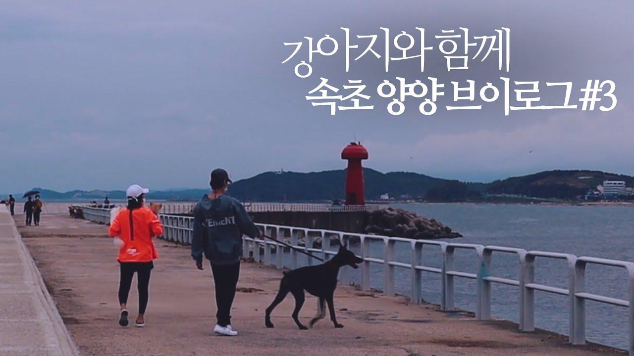 [웃어커플 VLOG] 분명히 힐링 하러 온 여행인데, 왜 몸이 힘들지... 속초 양양 #3