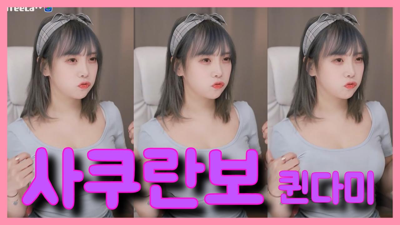 [DM]퀸다미사쿠란보 좌식+입식섹시댄스