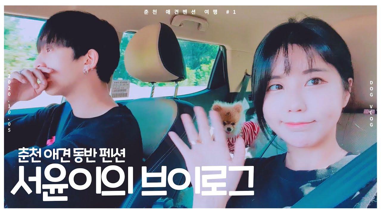 얘들과 함께 춘천에 있는 애견 동반 펜션으로 떠납니다