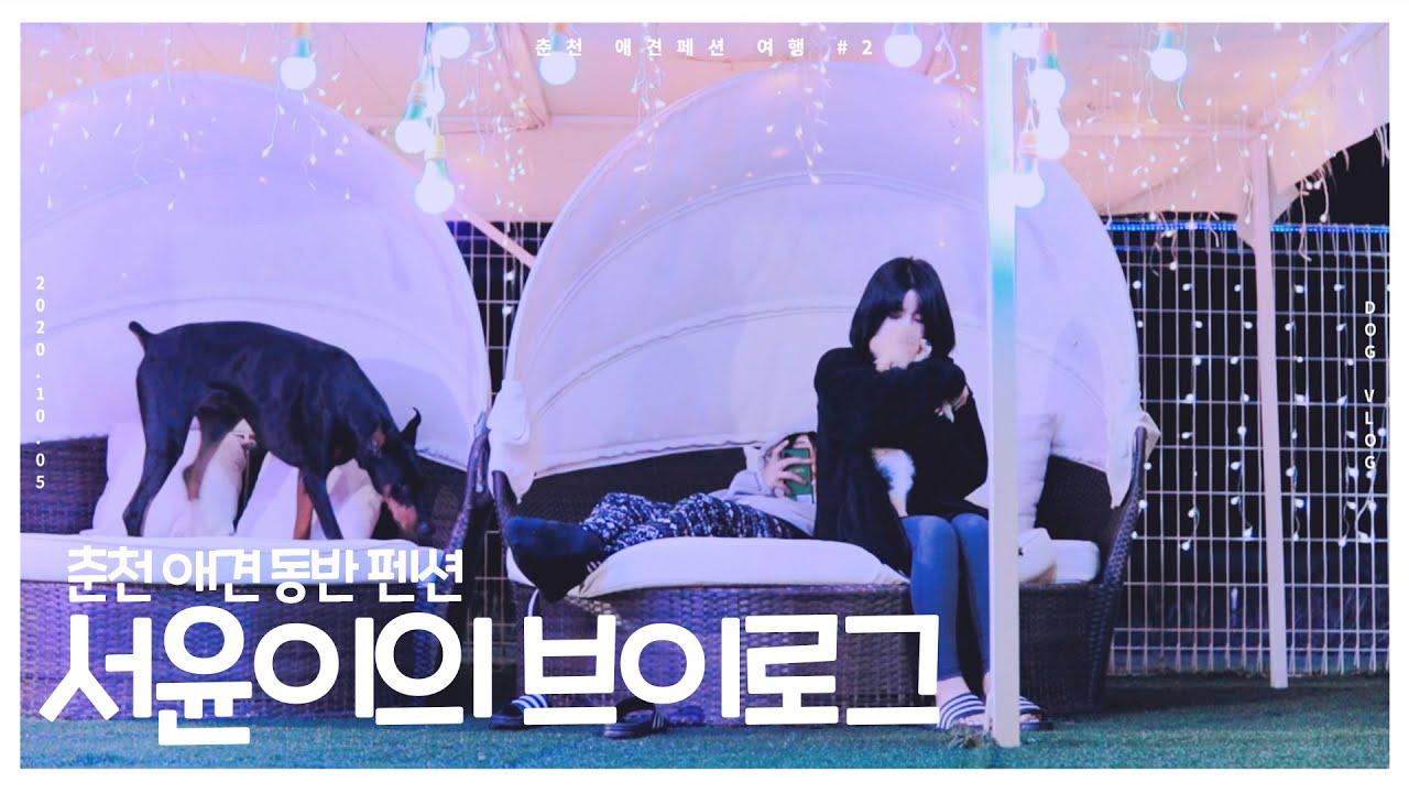 이번 주말은 강아지들과 힐링하러 애견 동반 펜션 어떠신가요~