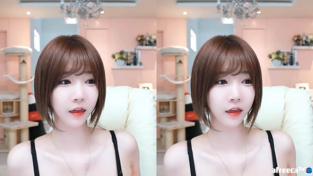 셀리 셀리의 국민체조 리액션