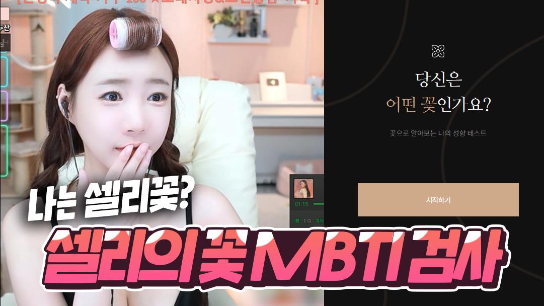 셀리의 꽃 MBTI 유형 검사! 셀리의 꽃은?