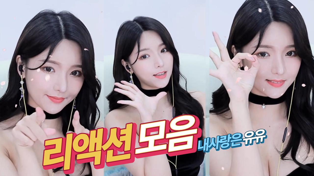 리액션 모음집..