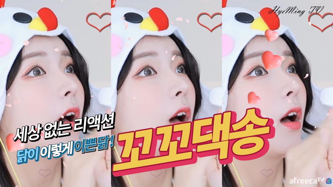 세상에 없는 이쁜 닭! 혜밍의 꼬꼬댁송 리액션