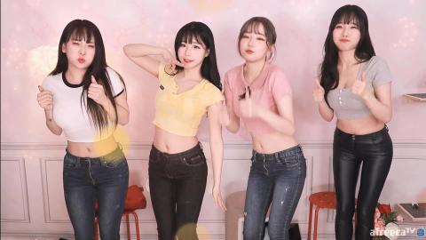 에디린&퀸다미&수련&마젠타  사쿠란보 