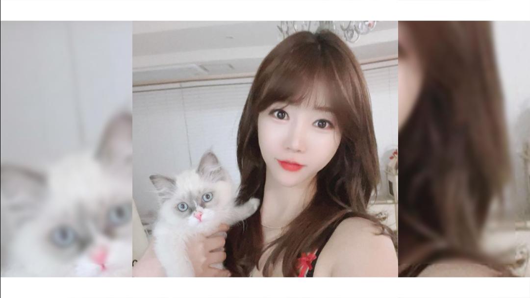 셀리의 새 가족을 소개합니다
