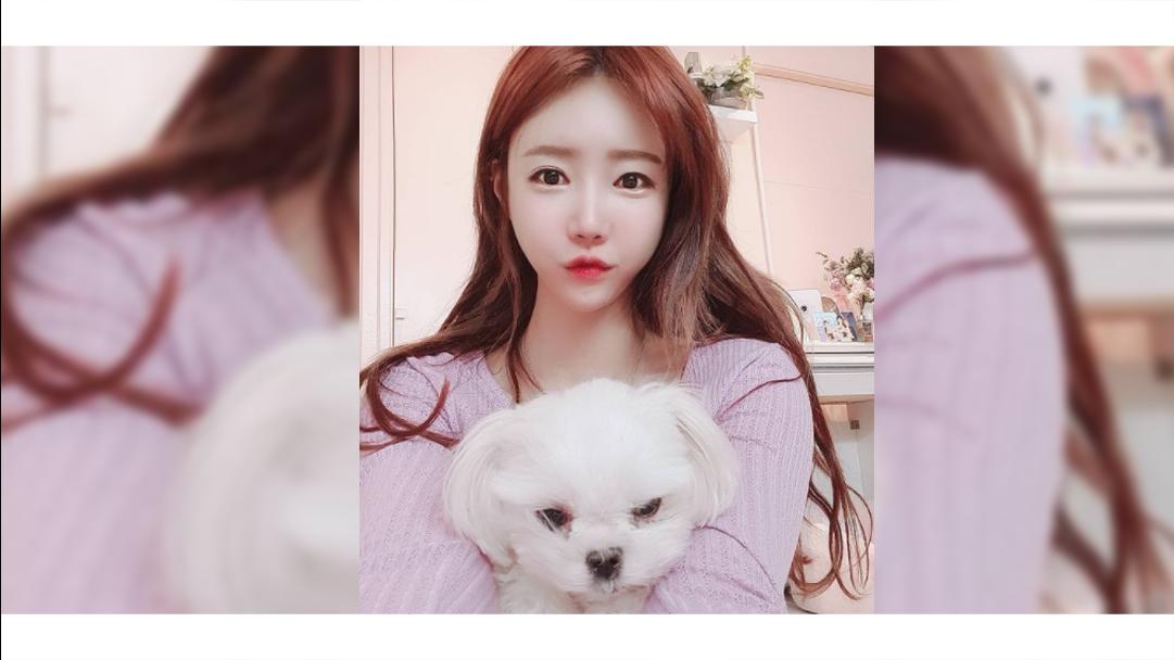 셀리와 풍이 사이