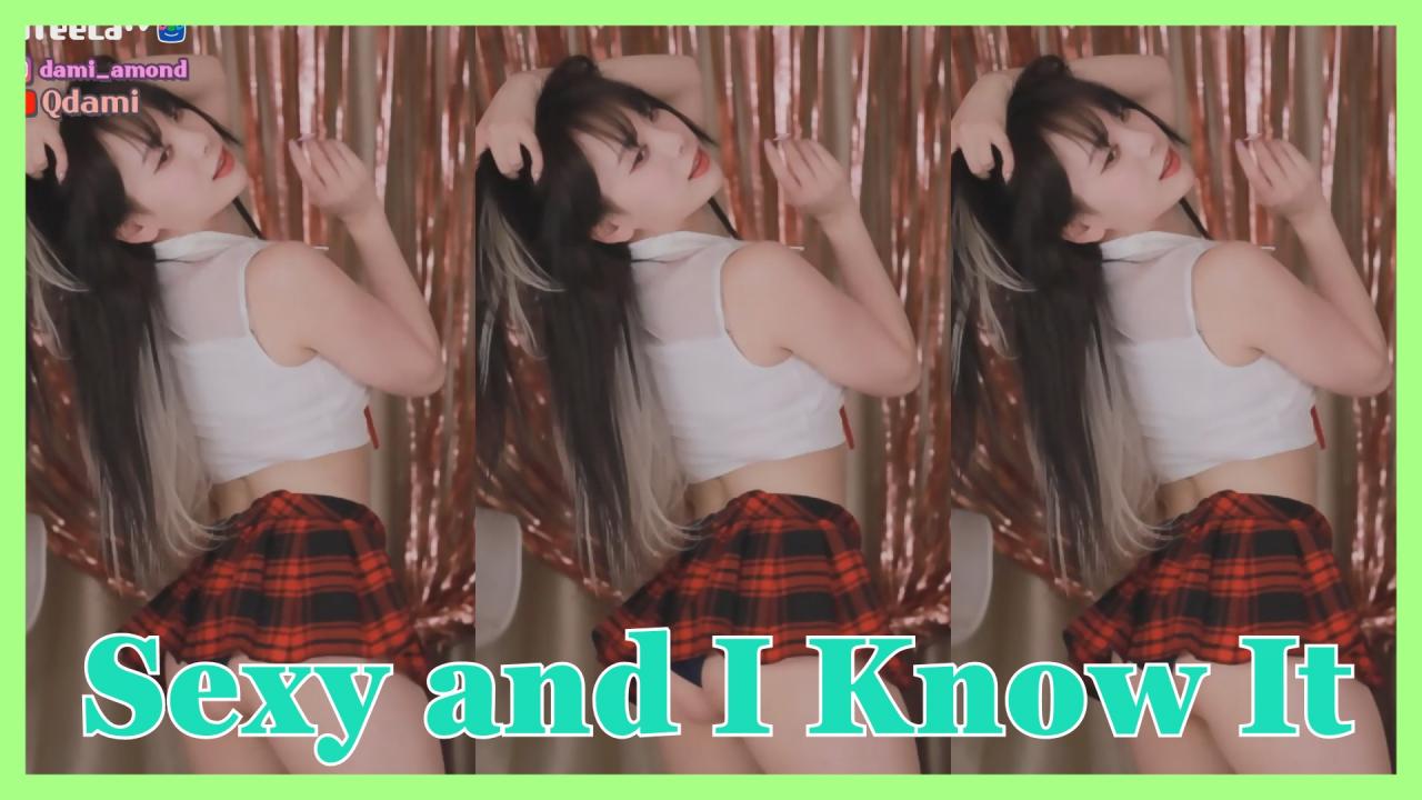 [DM]퀸다미LMFAO - Sexy and I Know It(트월킹)섹시댄스