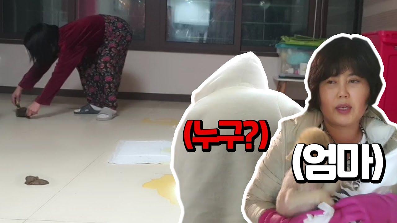 이사 준비한다고 가족들이 도와주러 왔습니다!