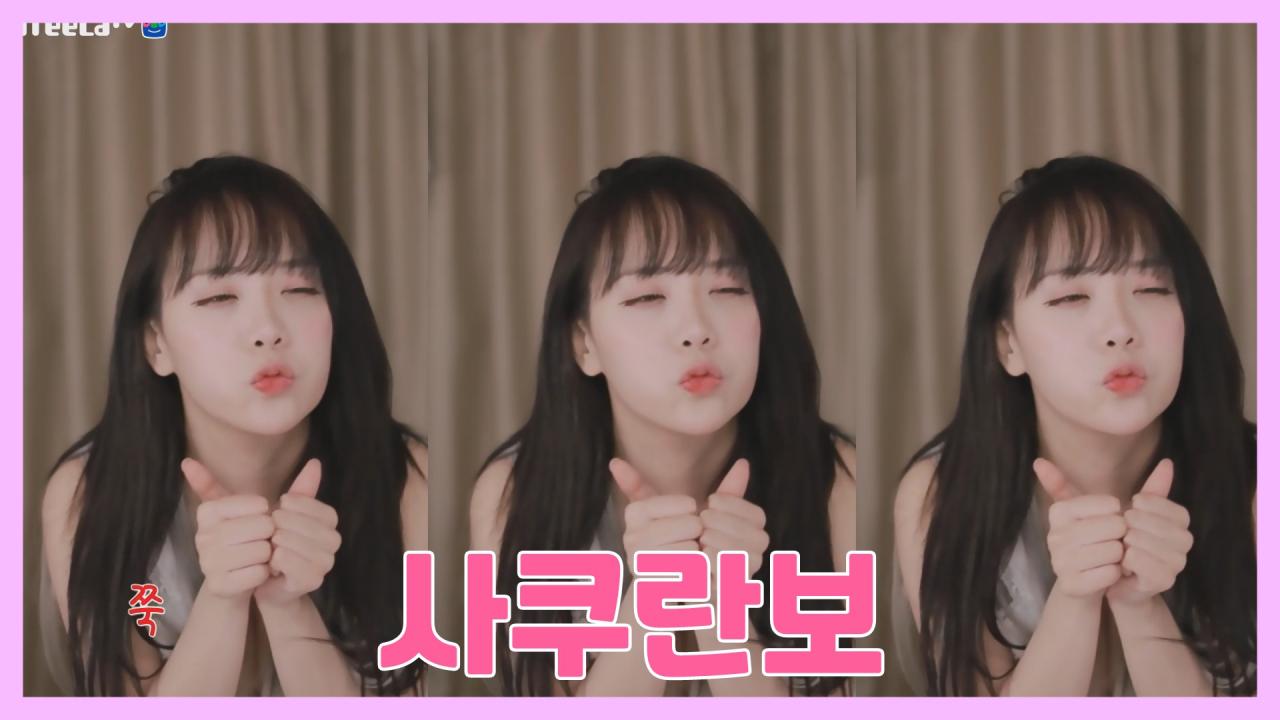 [DM]퀸다미사쿠란보리액션