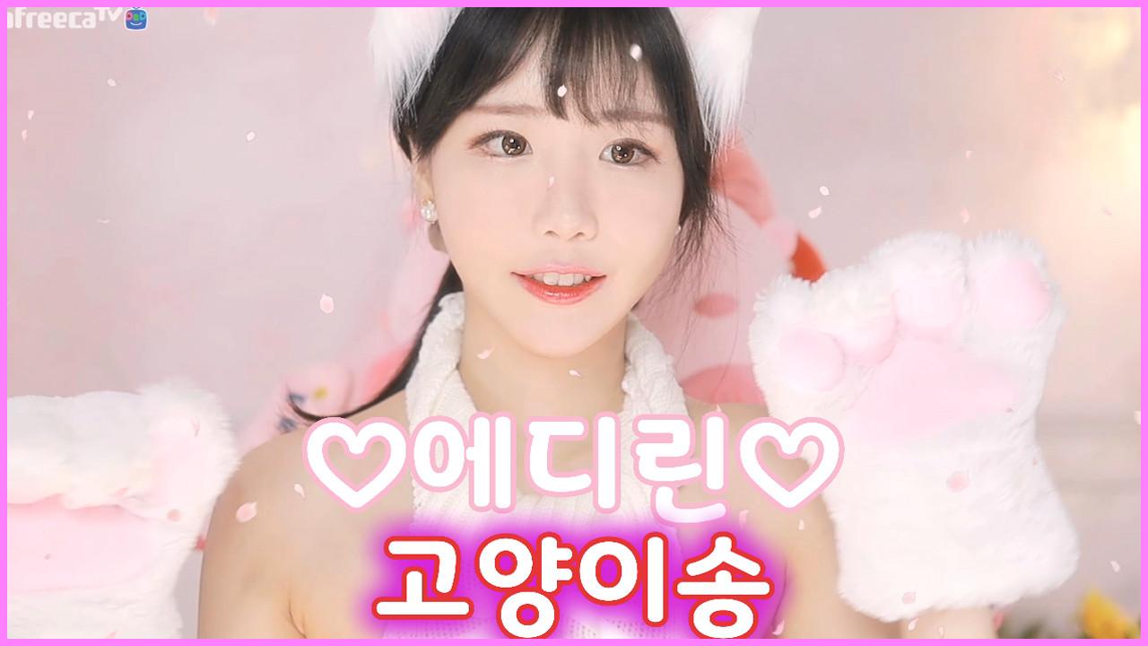 에디린 - 고양이송