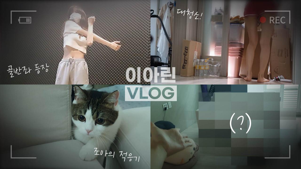 드디어 제대로 춤 도전.. 그리고 새로운 변화와 고양이!