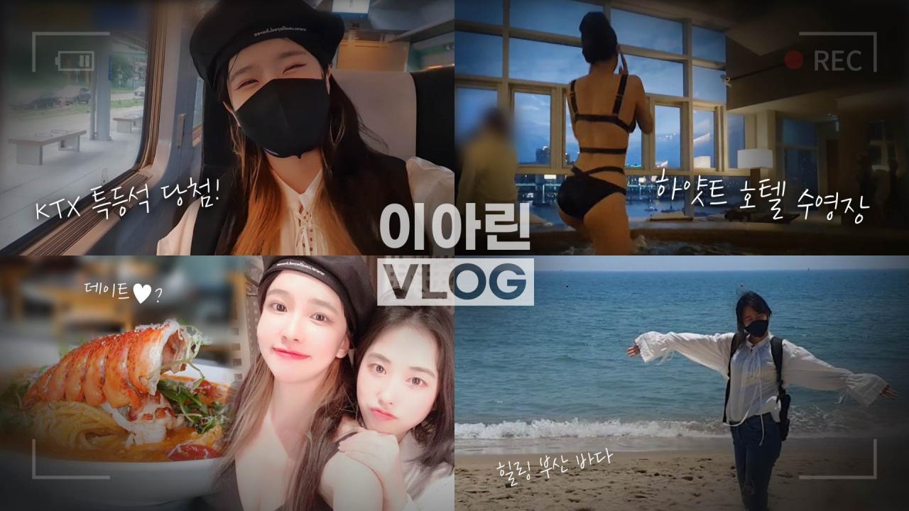 힐링 부산 데이트.. 하얏트 호텔 수영장, 랍스터, 조개구이, 해운대 | 6월 부산 브이로그