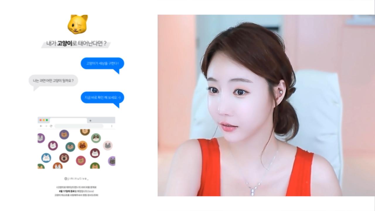 '내가 고양이가 된다면?' 테스트!