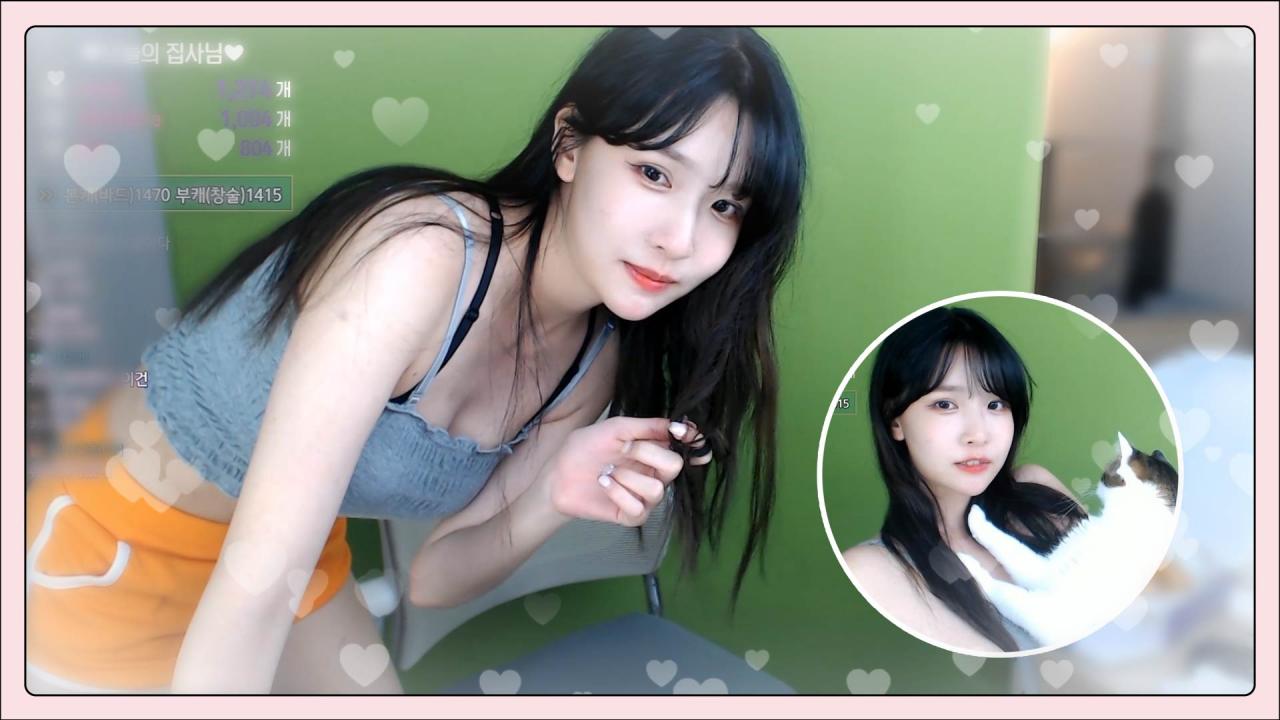 우리집에.. 고양이 보러올래?