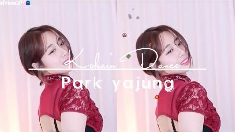 Kokain Dance 코카인댄스 (박야정) 영상 보고 나면 코카인을 한 기분일꺼야 [JERIDE REMIX]