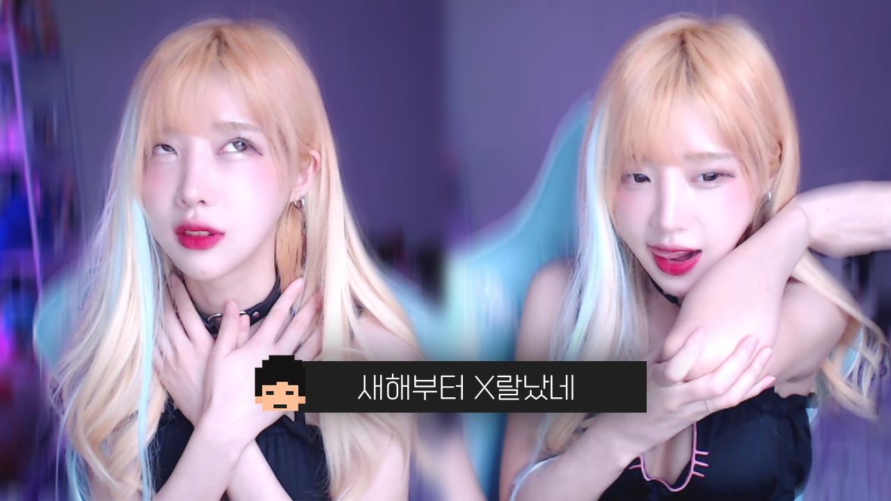 새해부터 이게 무슨..?