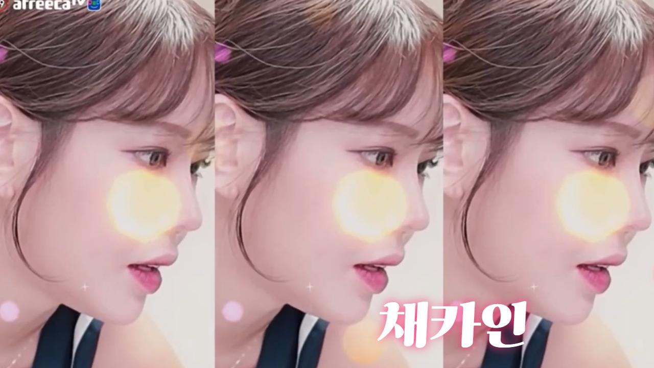 의상이 19 채카인
