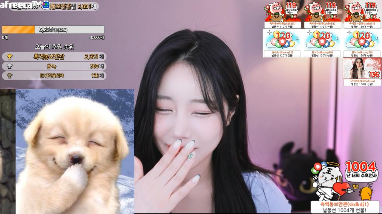 세여닝 개죽이 닮은꼴