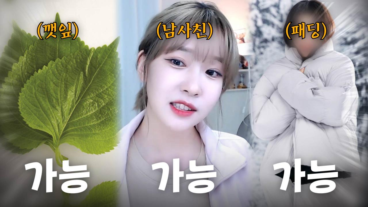 덤벼