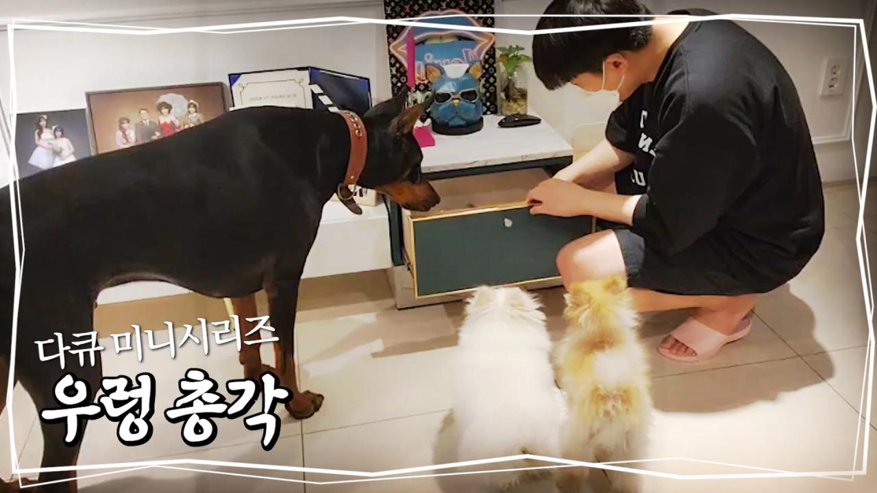 그녀가 떠난 빈자리..