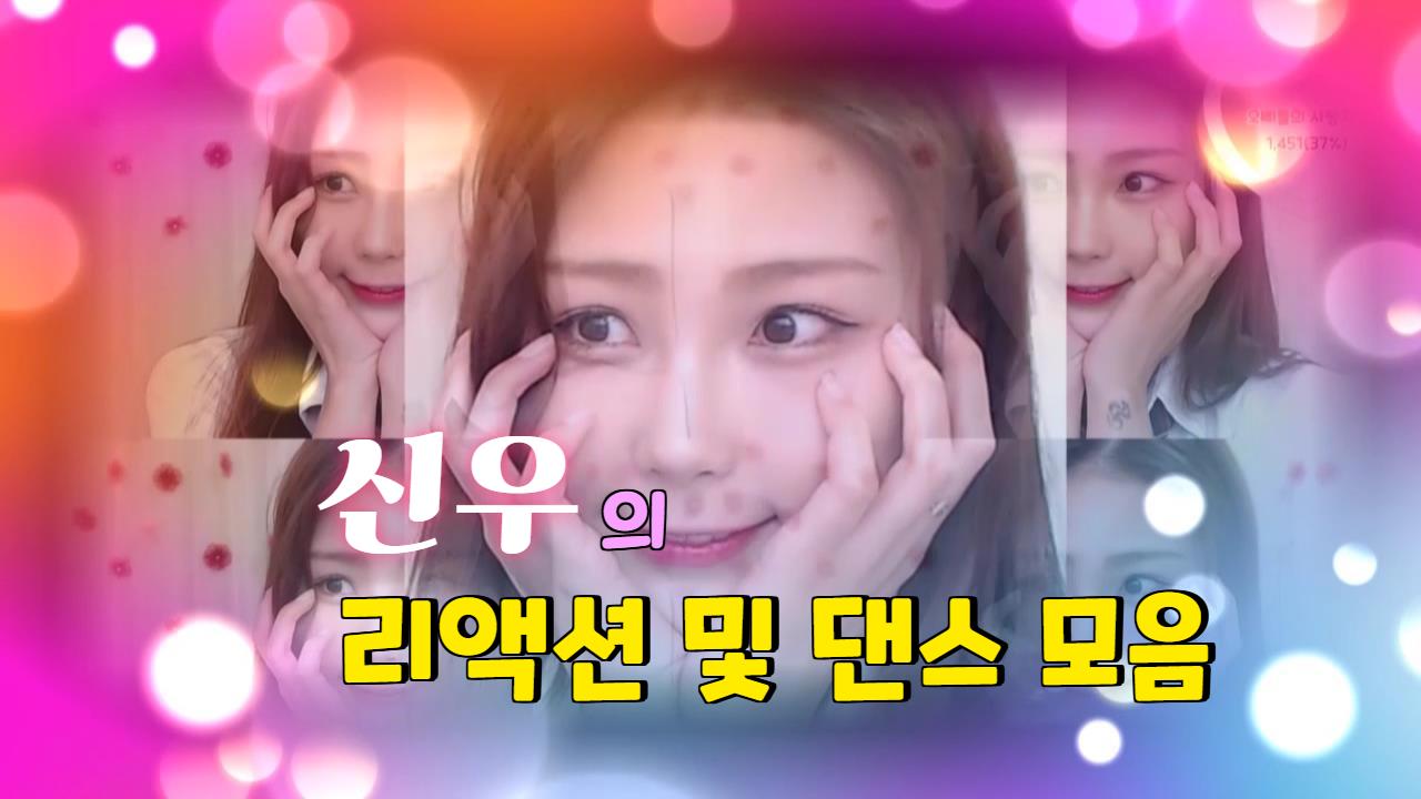 신우 리액 모음집