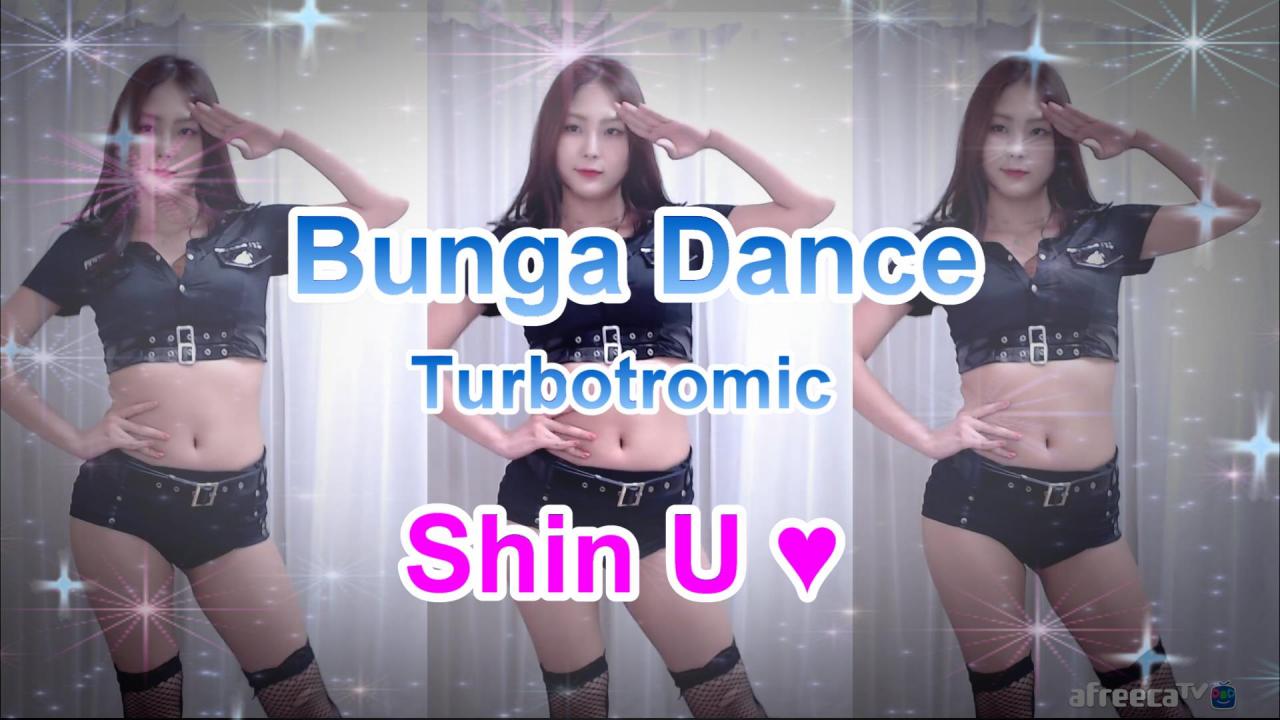 Turbotromic-Bunga Dance(댄스커바-신우)