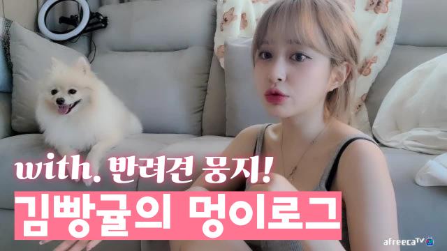 [멍이로그]김빵귤과 반려견 뭉지의 리얼 일상 힐링 펫방!
