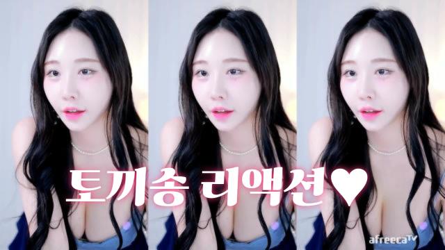 토끼송 리액션