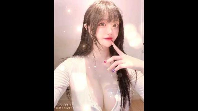 비너스영상