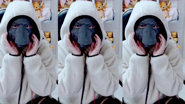따랑쓰러운 북방코끼리바다표범
