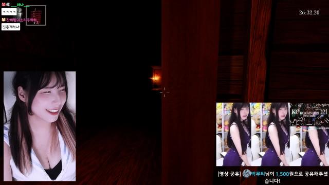 게임에 집중 안하는 시청자들