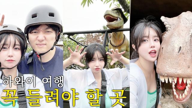 하와이 여행! 이곳은 꼭 들려야 한다 (+버스 타면 손해)