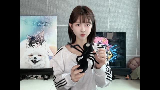 To. 강남일개미